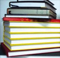 Rembordeuse DARIX-TEN